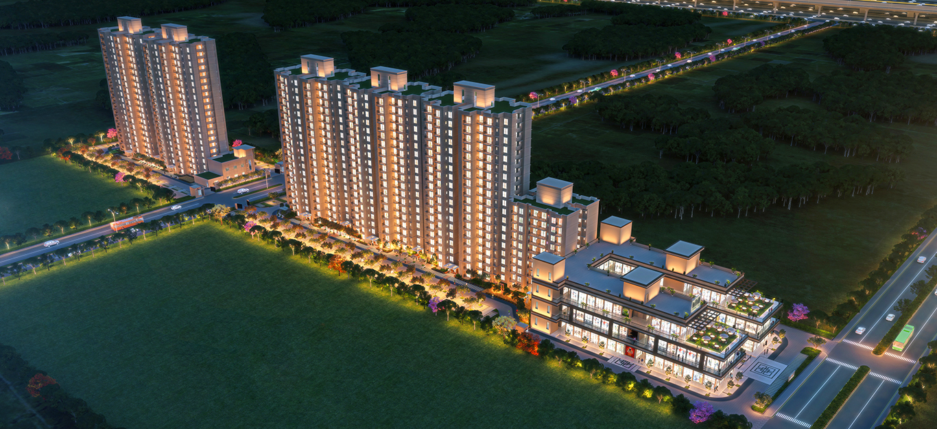 Signature The Millennia 4